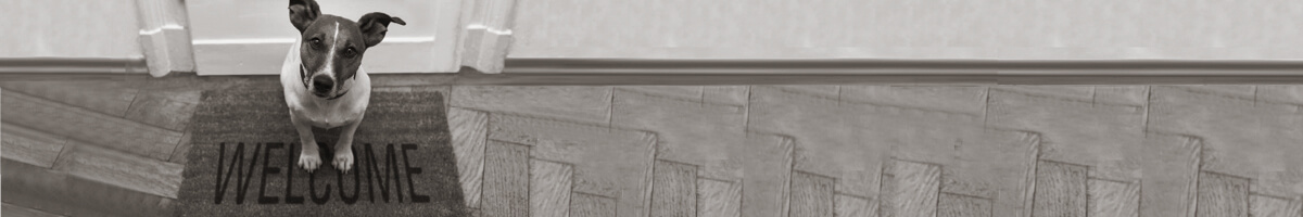 Third Federal_1.2 Preapproval_1200x200_alt Third Federal_1.2 Preapproval_1200x200_alt