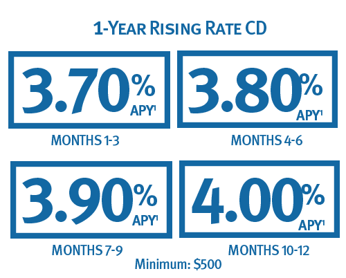 30-Day Online CD