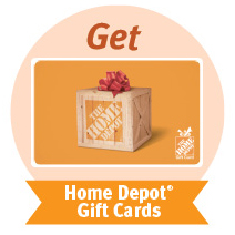 Home-Depot-Bug-equity4 Home-Depot-Bug-equity4